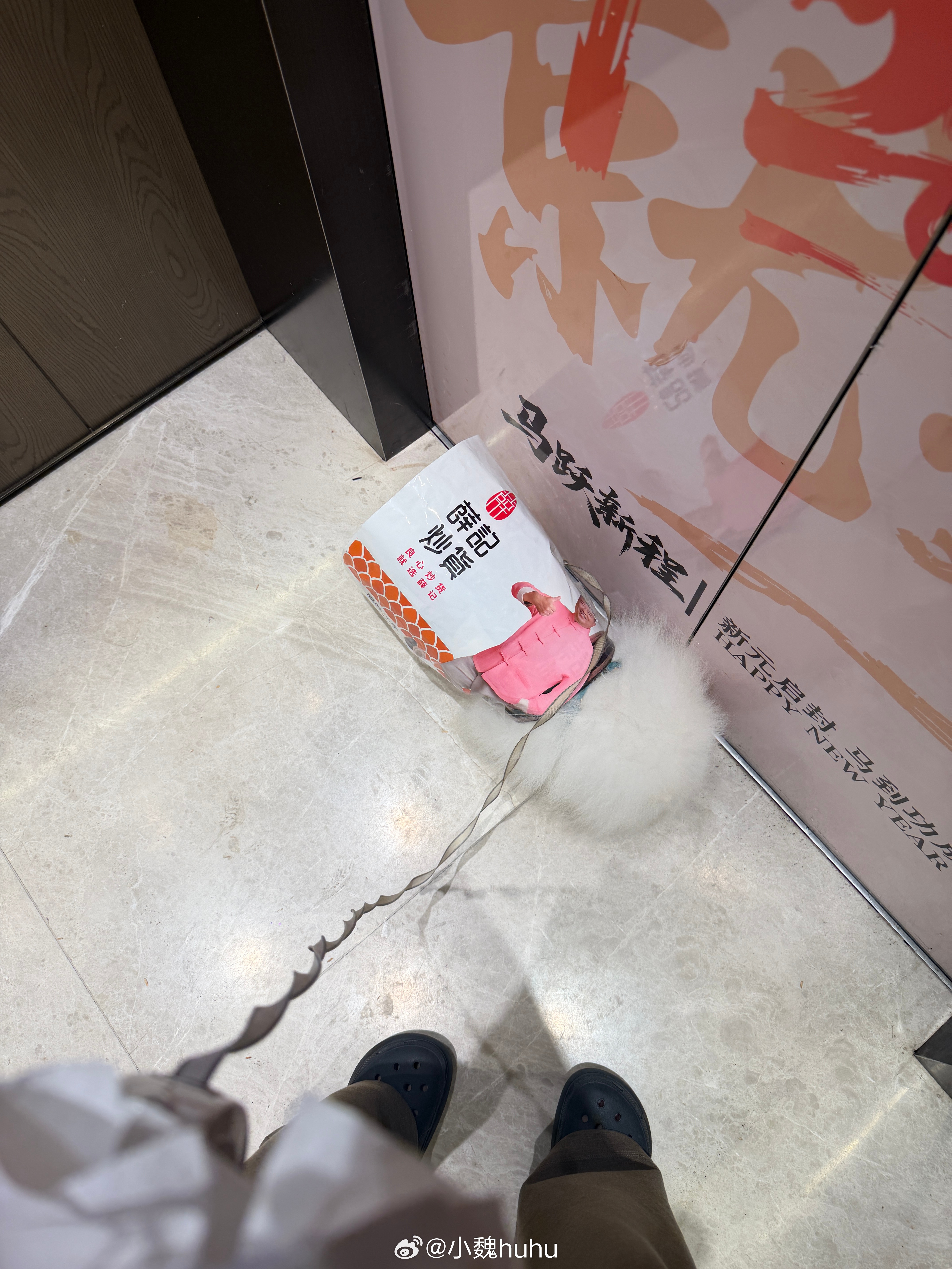 自制了半天雨衣下楼发现根本没下雨belike ​​​