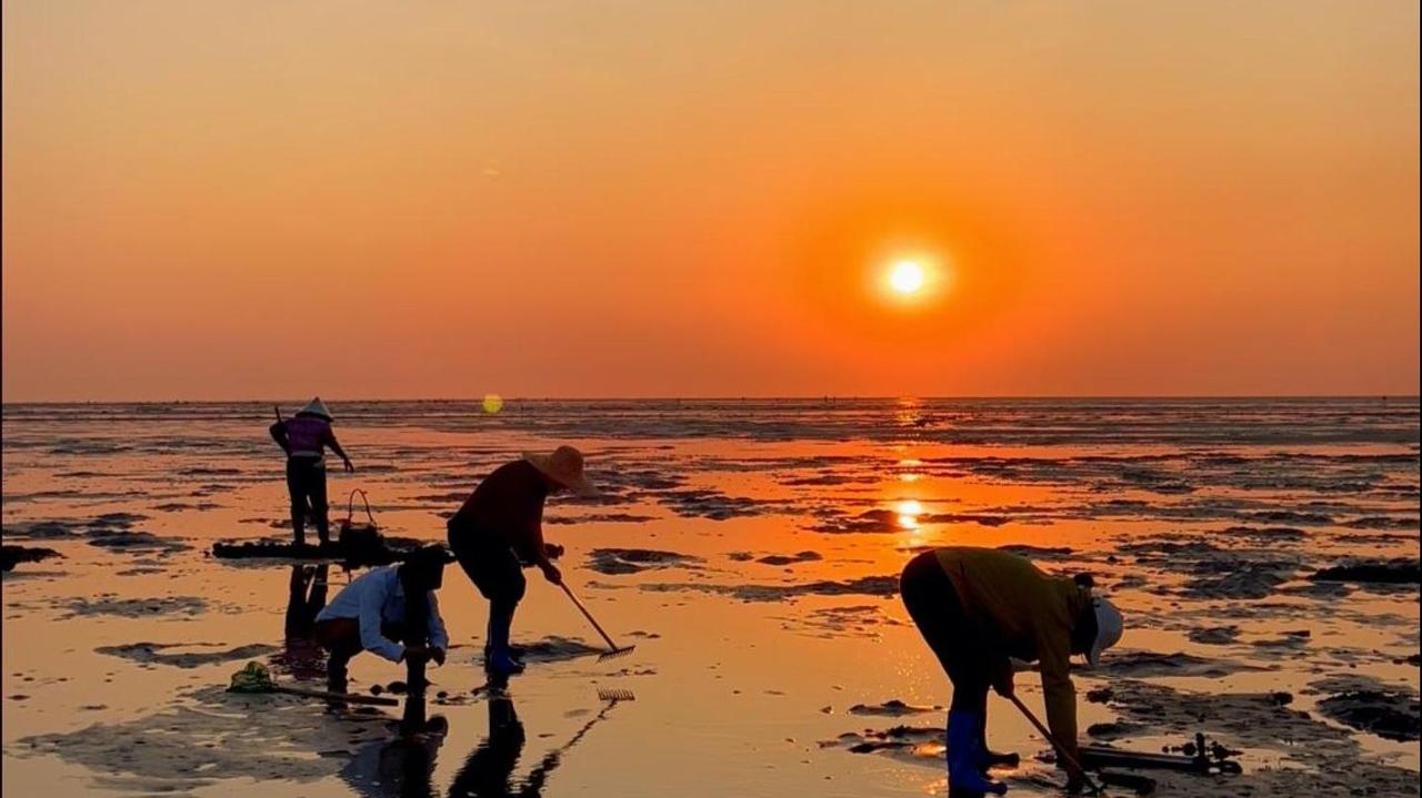 浣溪沙 · 赶海妙境

迎浪拂云鸥鸟飞，
沉浮虾蟹约滩栖，
小潮拾贝醉斜晖。
 