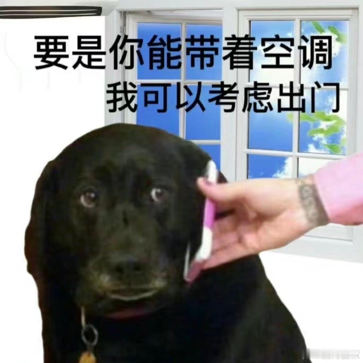 夏天每上升1度，食欲下降10%，不知道今天你的食欲怎么样？#可乐加藿香谁能不上头