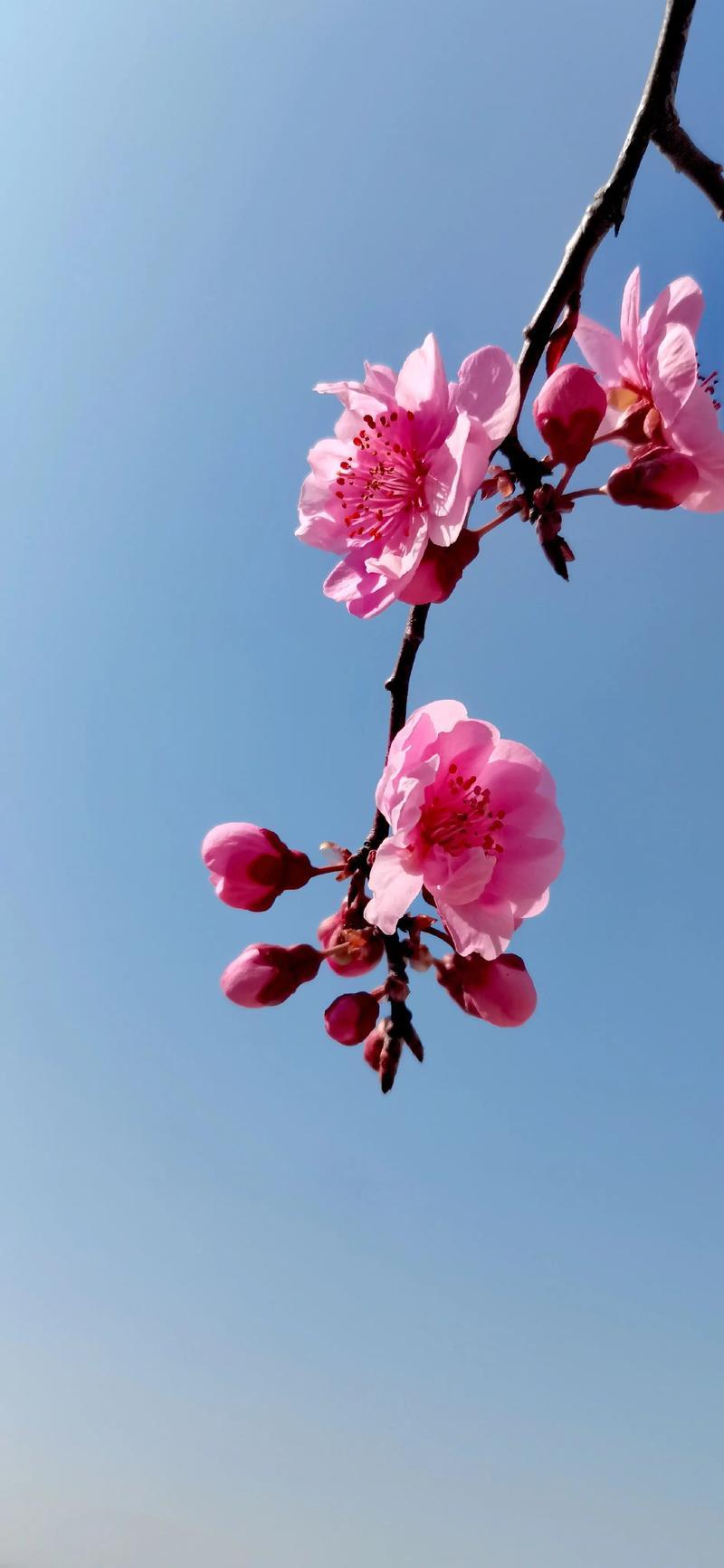 前几天同学聚会，一时兴起就跟着大家熬夜K歌、喝酒，玩到凌晨三点多才回家，当时只觉