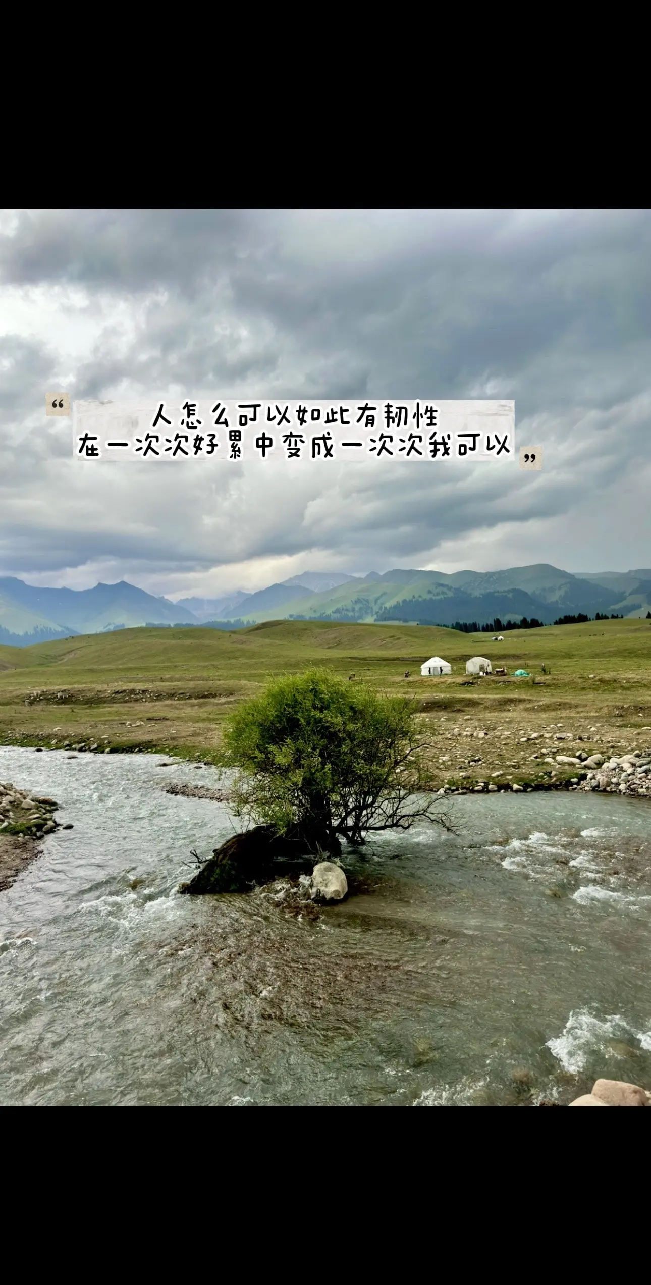 不谢苦难 谢自己 一半开出花一半做泥沙