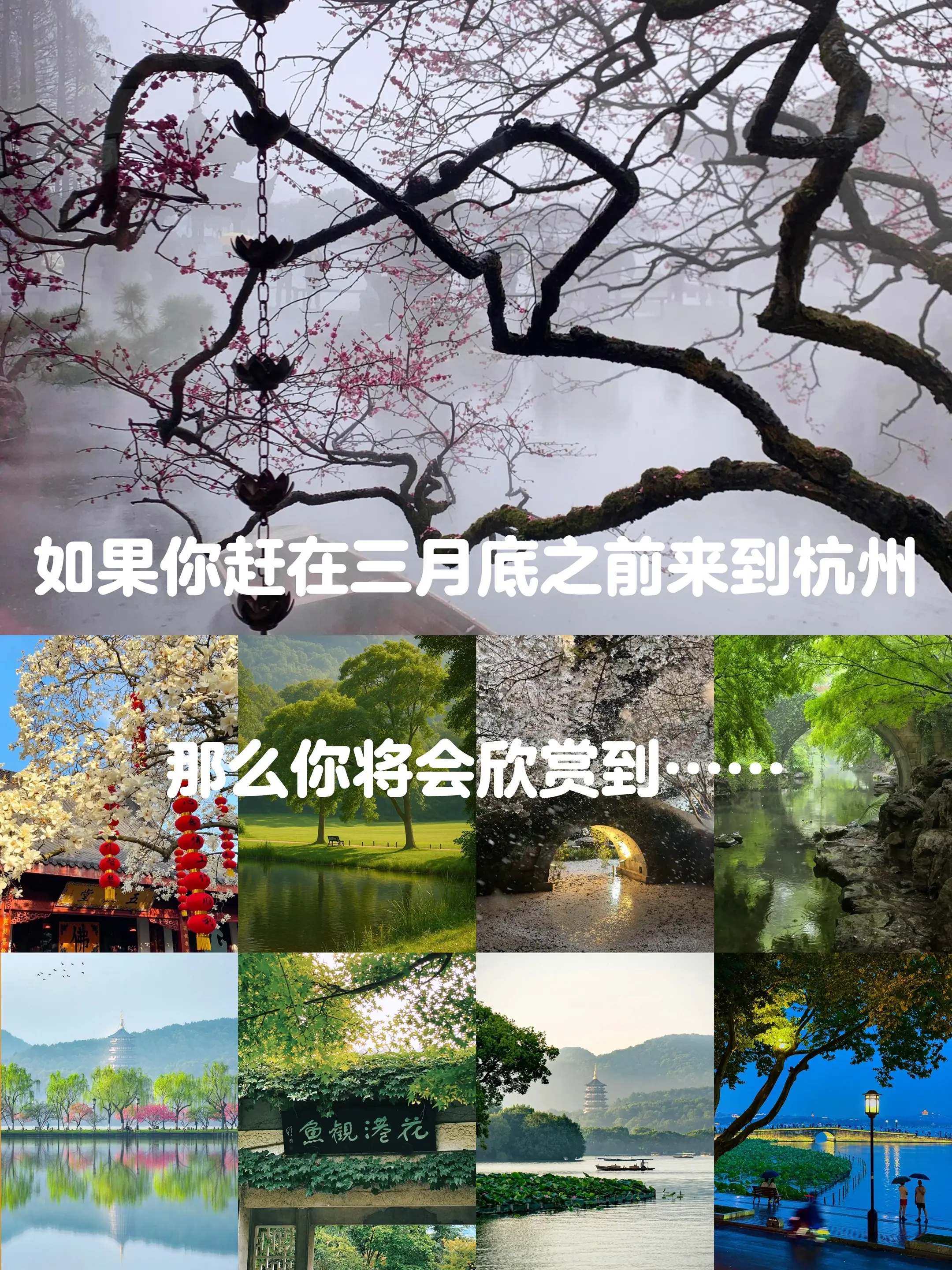 当你赶在三月底来到杭州 你的眼睛就会收获到……