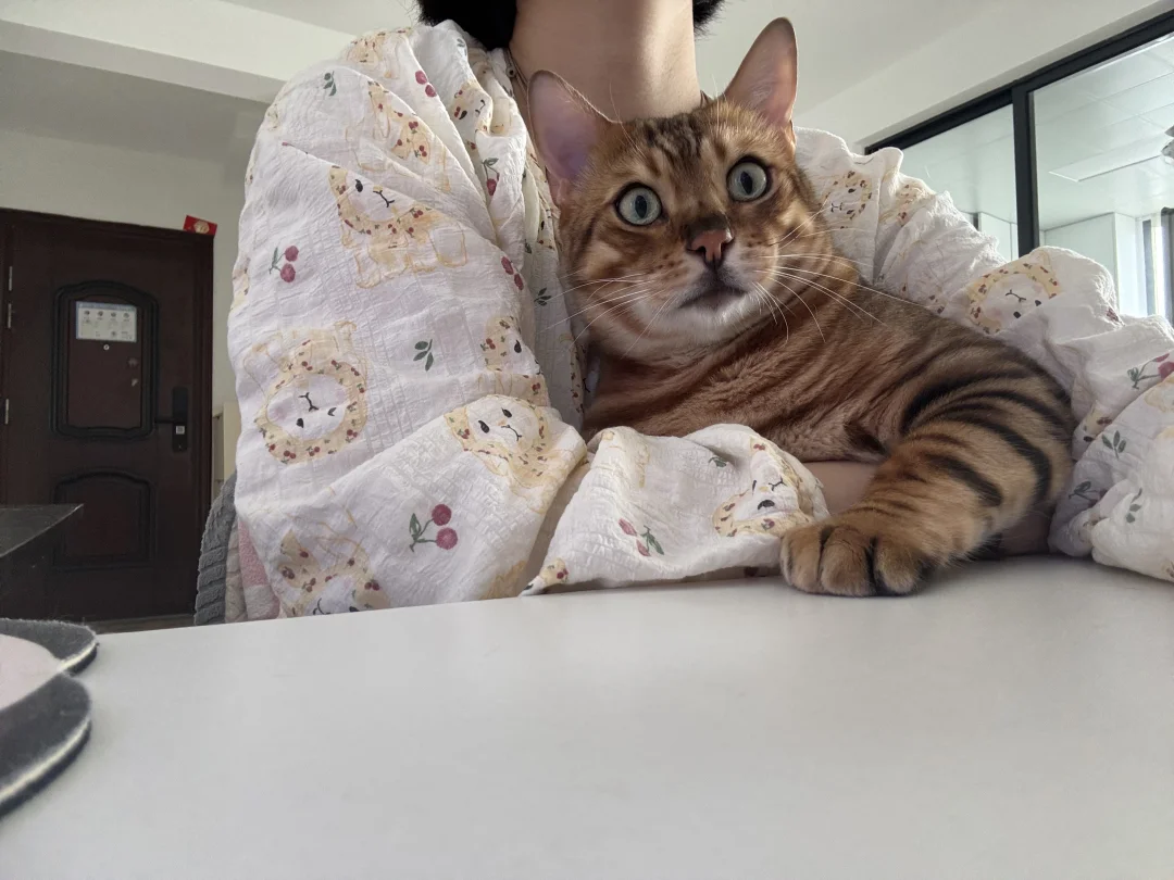 上课，认真点！