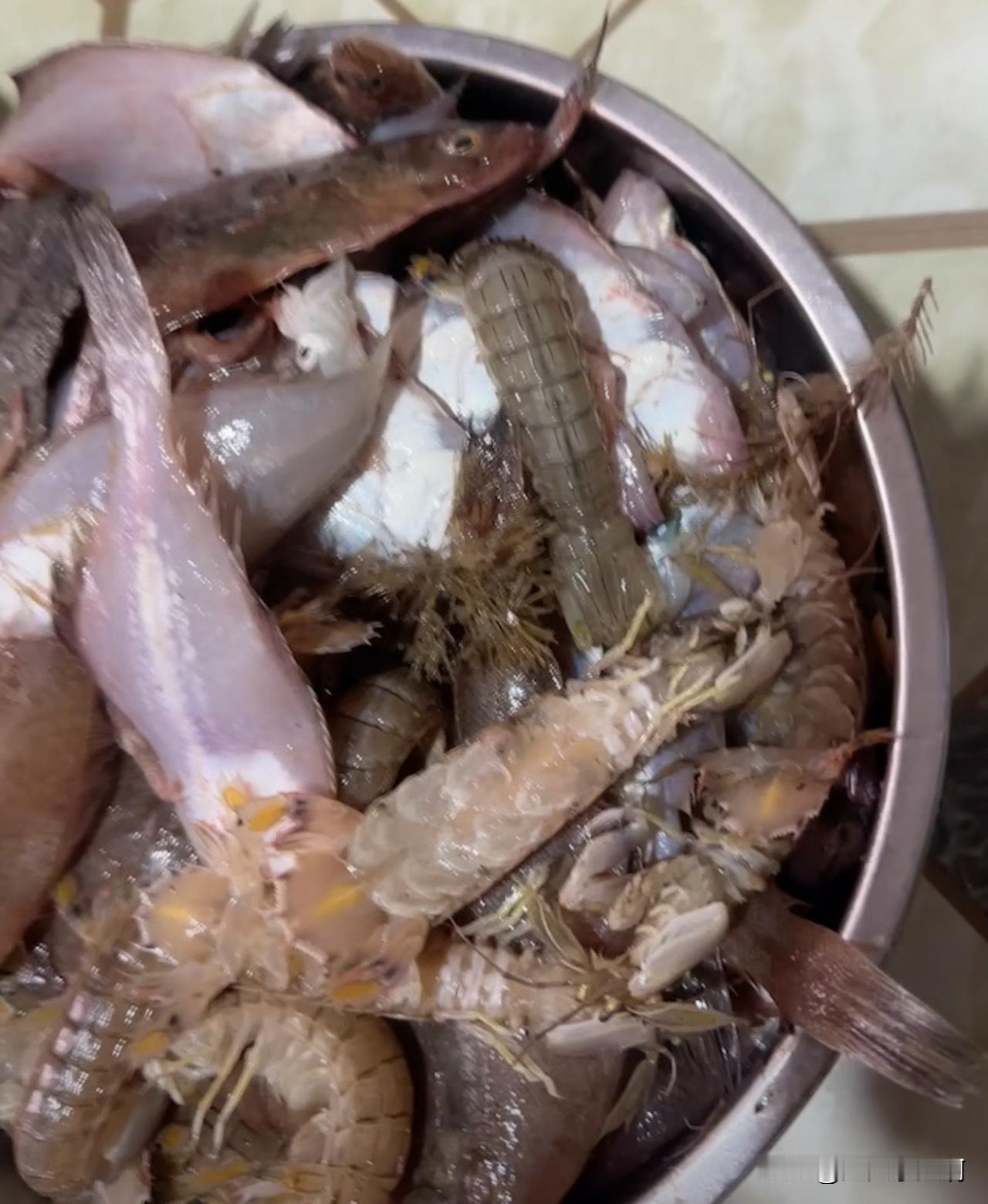 今天晚上的晚餐[捂脸]
还有一盘炸新鲜小红虾，吃完了。
哈哈哈。
去海边白嫖了一