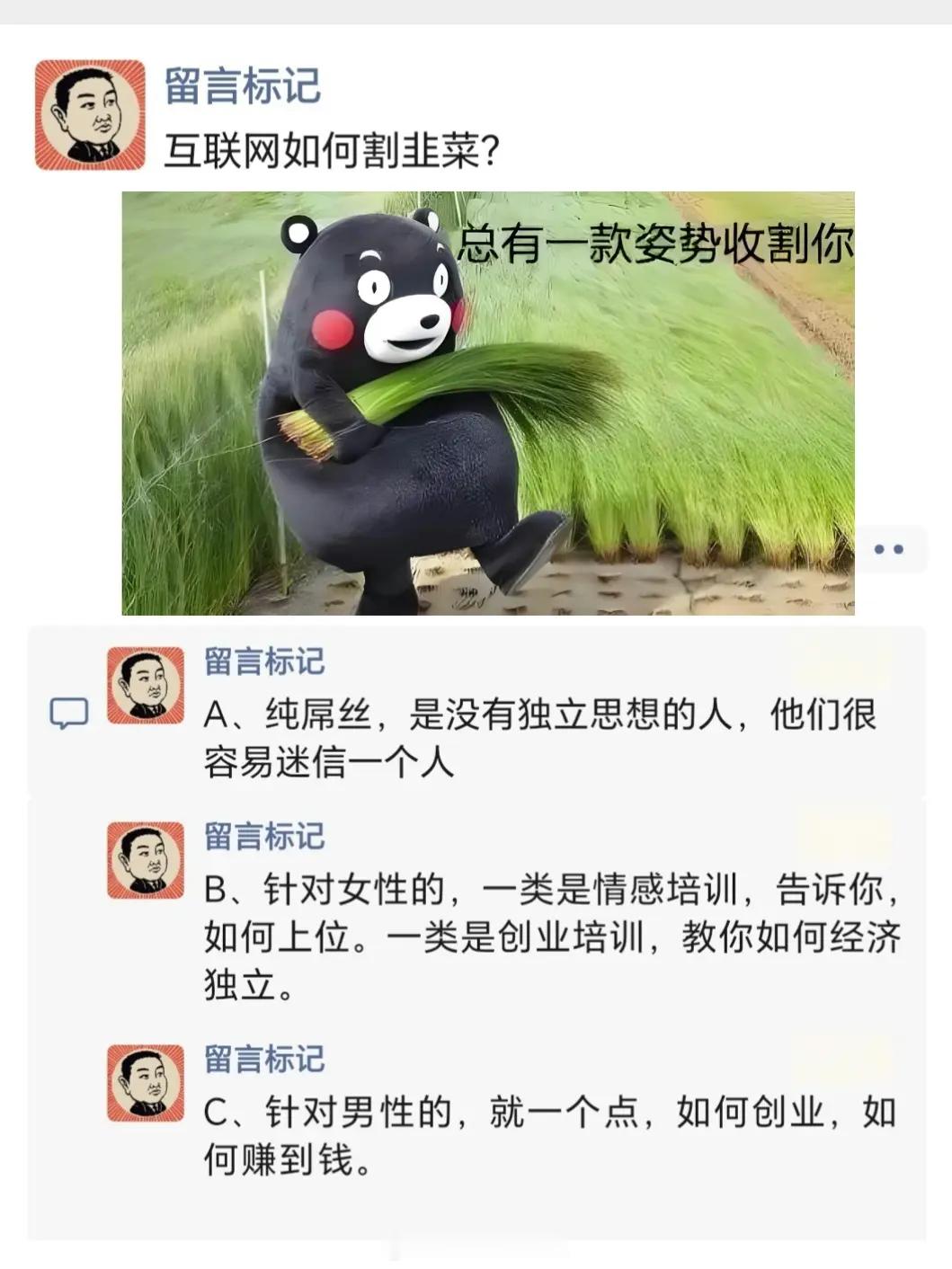 我刚才看到一个国内的网友，在海外华人的视频下面夸夸其谈、洋洋洒洒评论了两百个字，