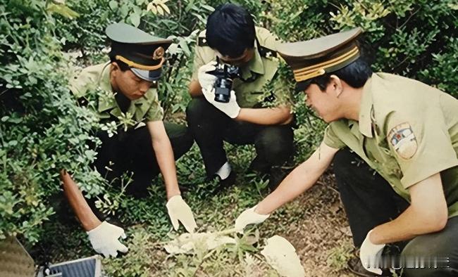 1995年汪王村的惊天秘密，一张“杀人”合同揭开了怎样的真相？
1995年8月1