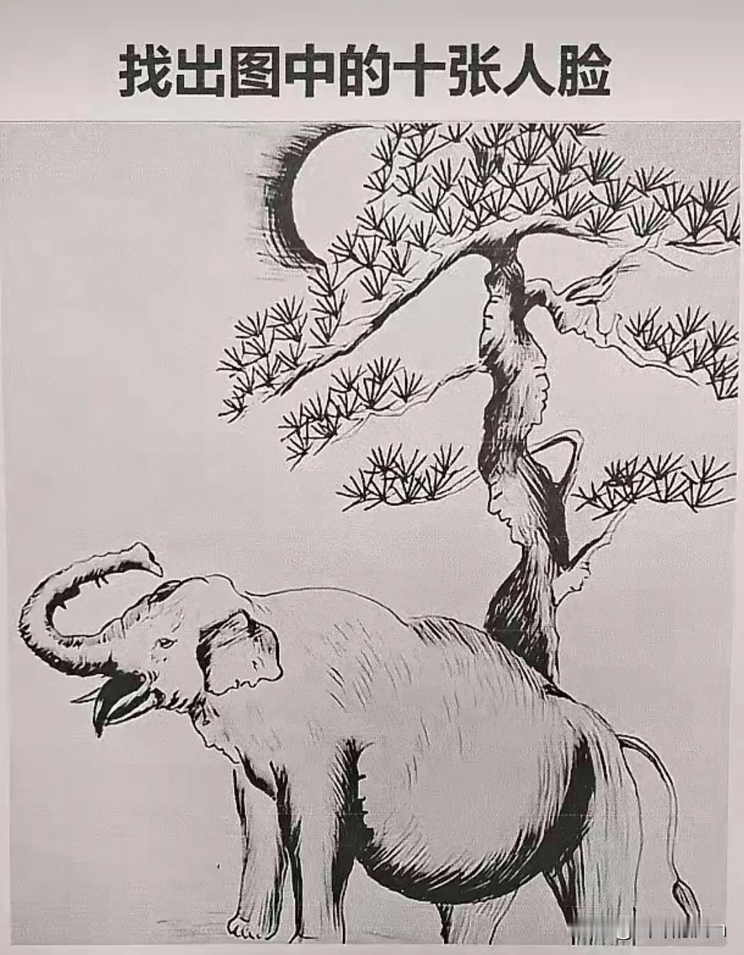 眼神咋还不好了呢，难吗，也不是太难哦，#看到了几张脸# #你看到多少张脸# #你