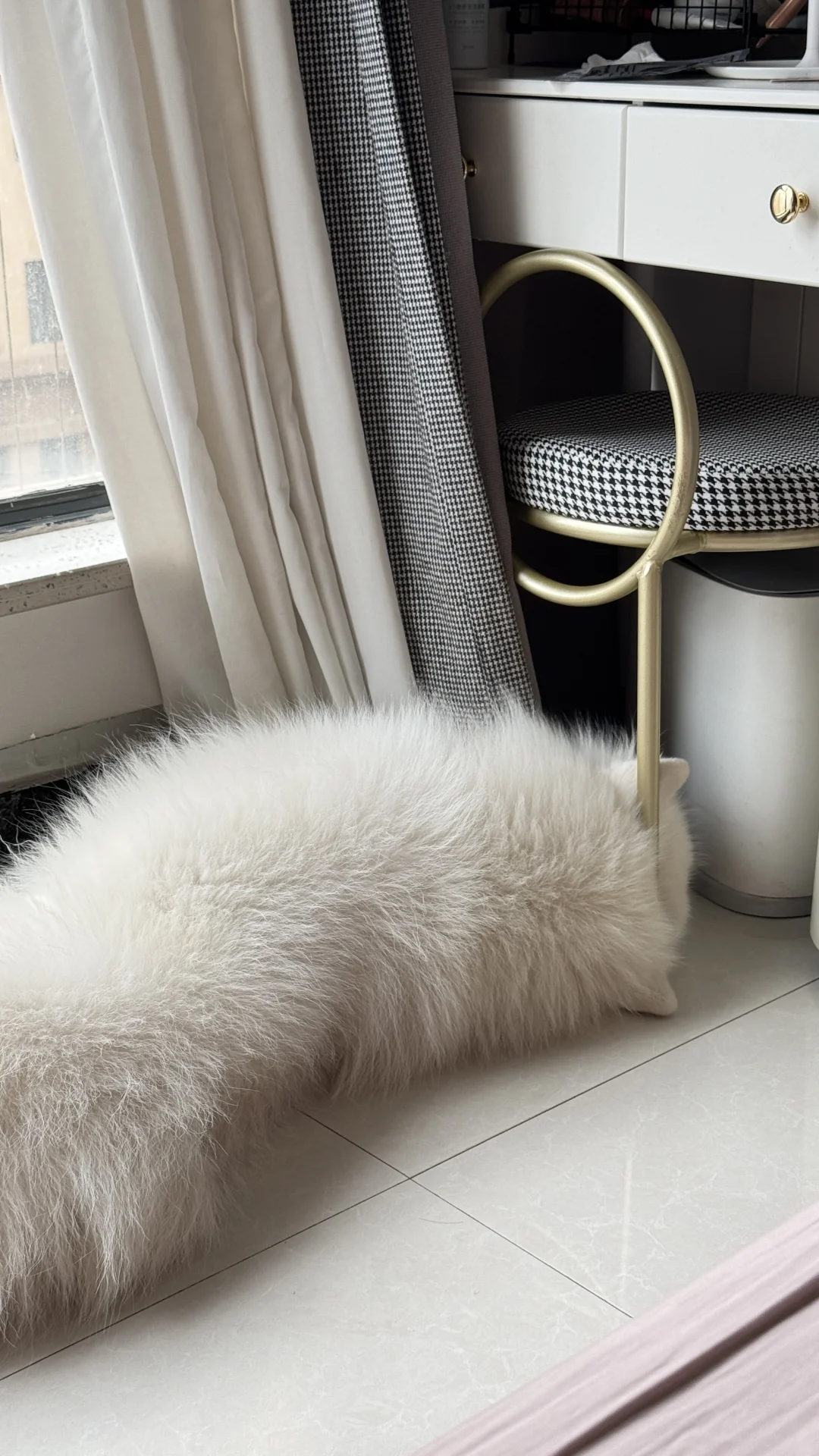 不会就只有我觉得可爱吧