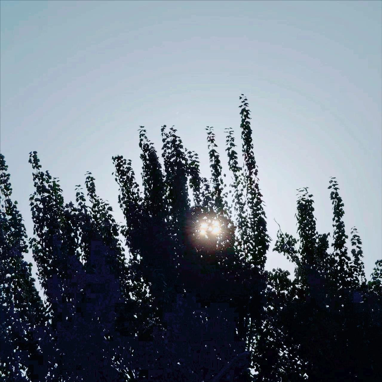 今天   内蒙古：执纪审查1人
 
今天11:40，内蒙古：执纪审查1人，为乌兰