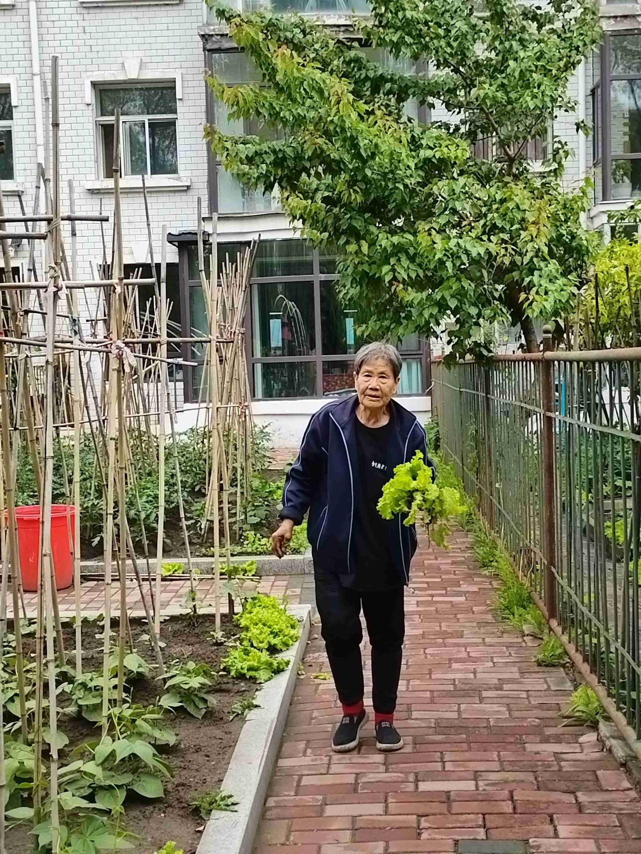 我的今日状态：😁轻松愉快
我这里的天气：☀️晴天
这里是黑龙江省肇东市卫生小区