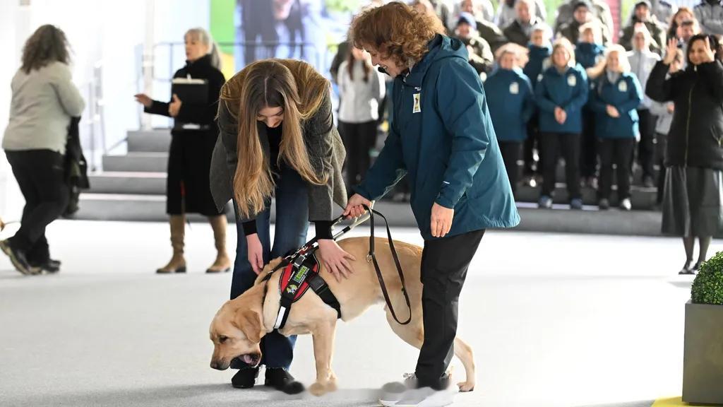索菲亚和肩负使命的小狗狗们，看得人心软软