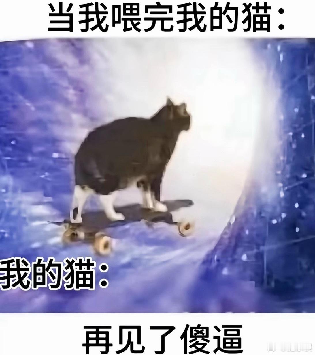 形象生动 