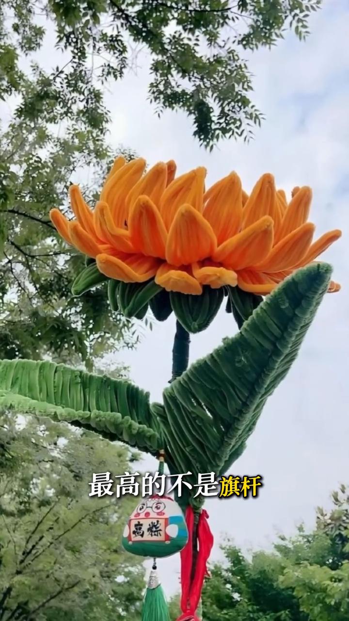 高考考场外最高的不是旗杆，是一颗3米的向日葵。这不是临时买的，正月初八别人放鞭炮
