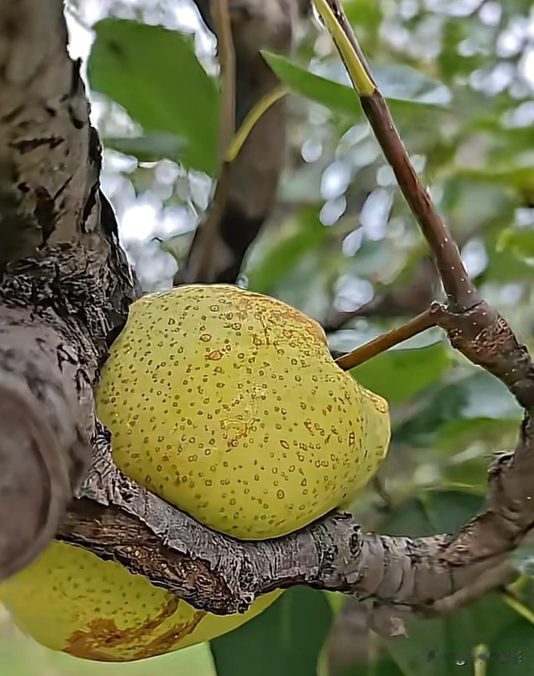 努力地活着，活着就好。
