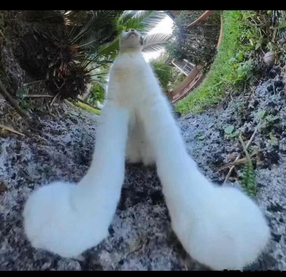 人，我在探险 ​​​