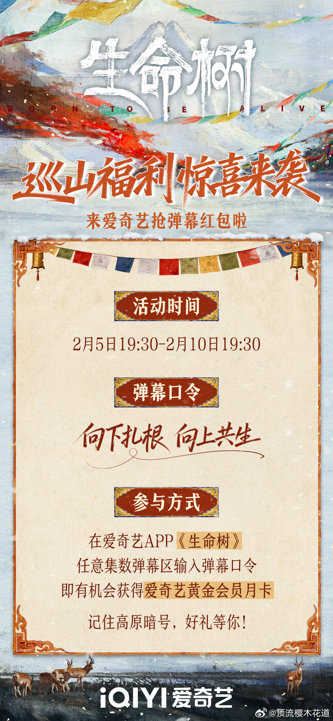 生命树 生命树，爱奇艺月卡？这个活动不错哦，薅羊毛了。电视剧生命树