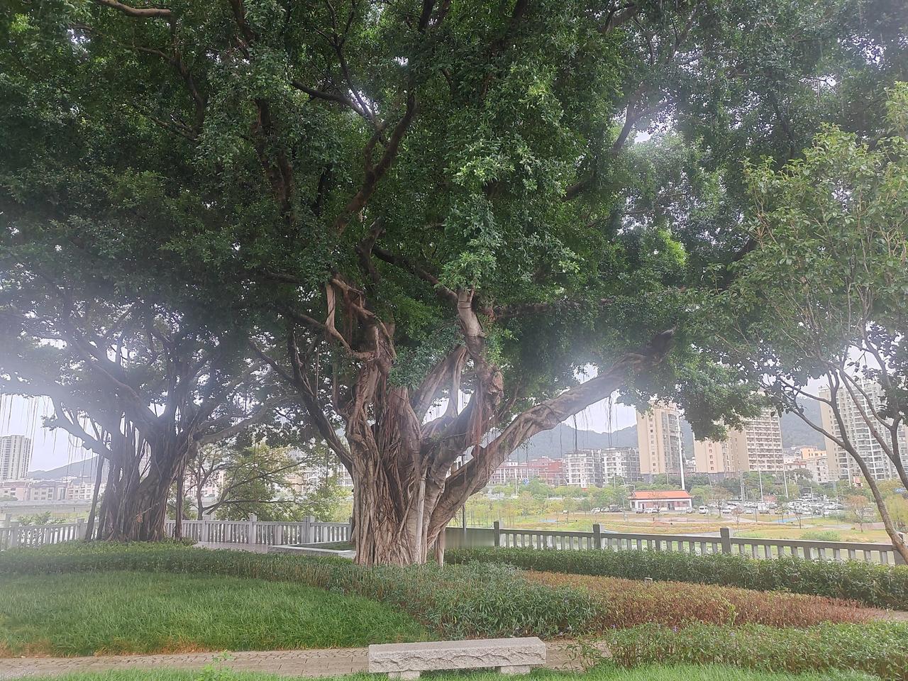 你会为面子给关系一般的人担保吗?
关于担保这事，量力而行吧，普通人还是离得远一点