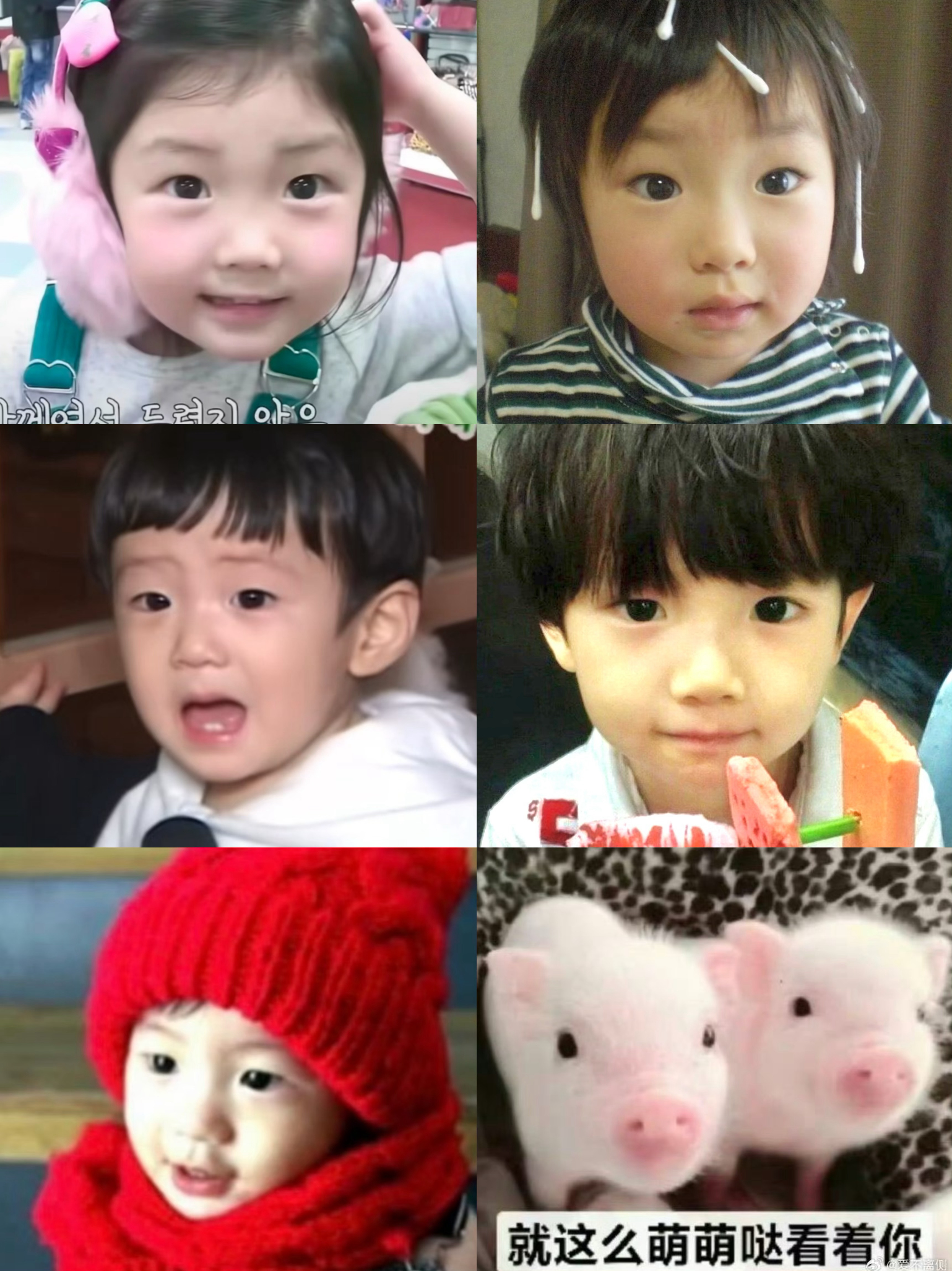 建设六代小煮家族【李沅禧、sakuya、郑相炫、金主训、李灿荣】 ​​​