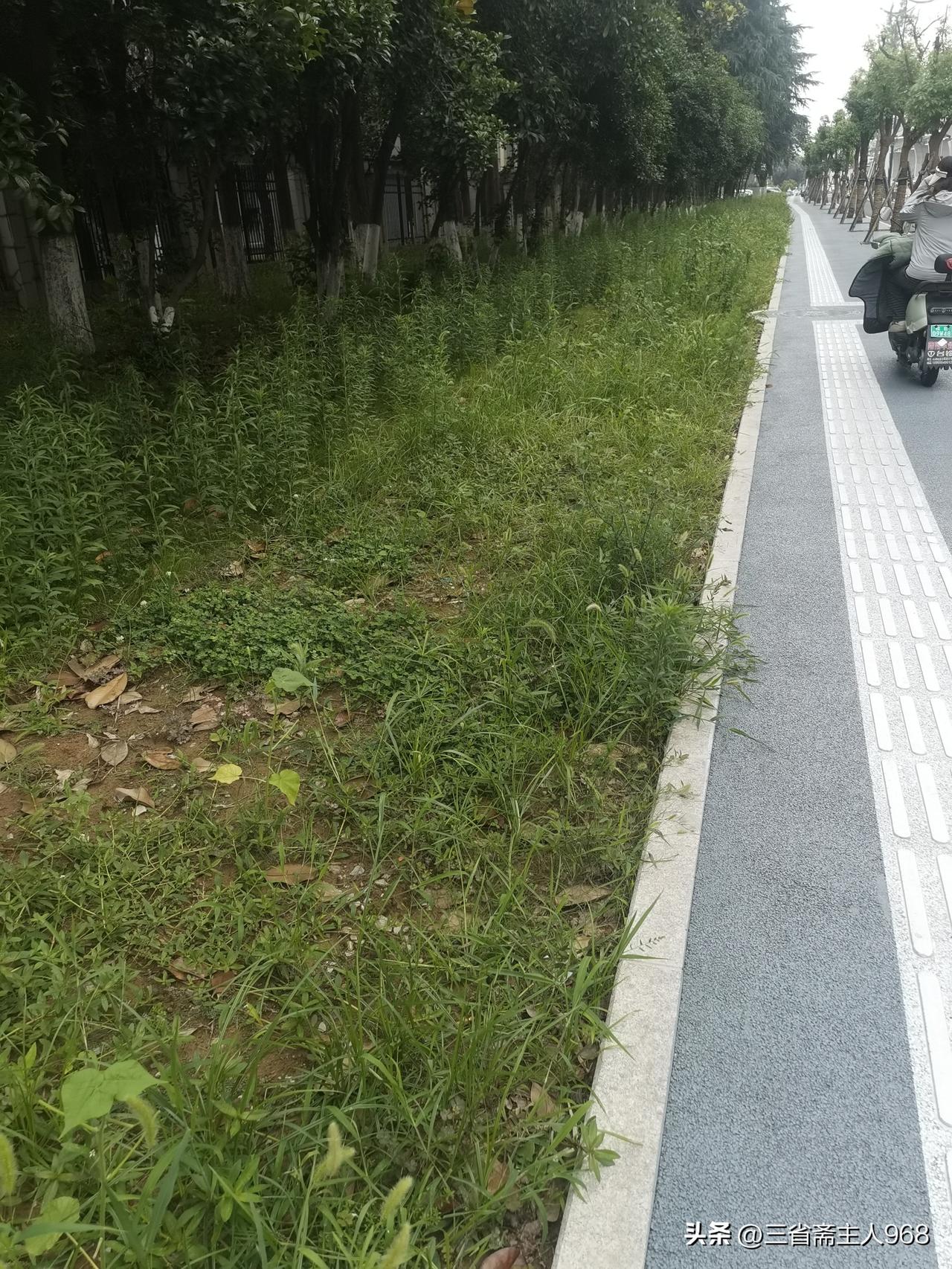 昨天下午，（六月二十六日下午）到佳山健体环山道锻炼，沿着江东大道向南，看着新建的
