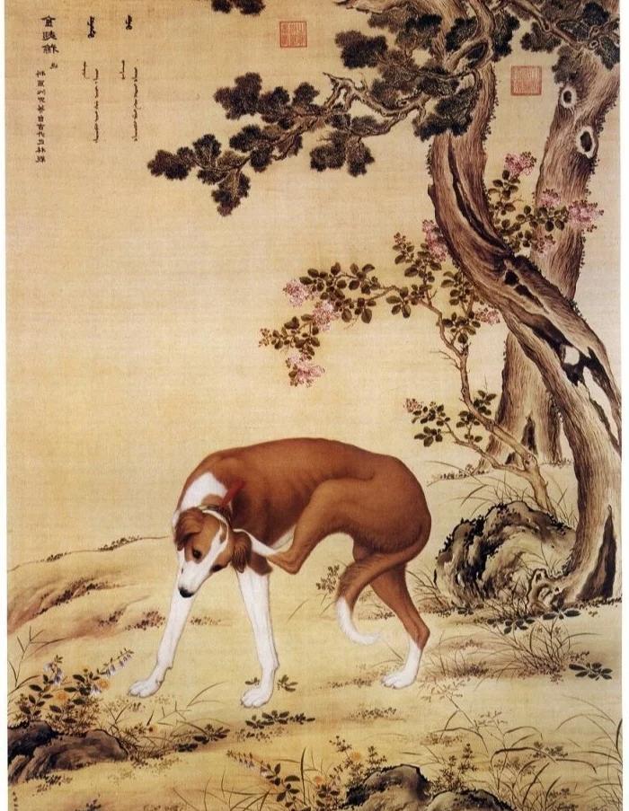 清代宫廷最有名的御用画师是谁？
外国来的自然要数郎世宁，可你知道吗？他原本来中国