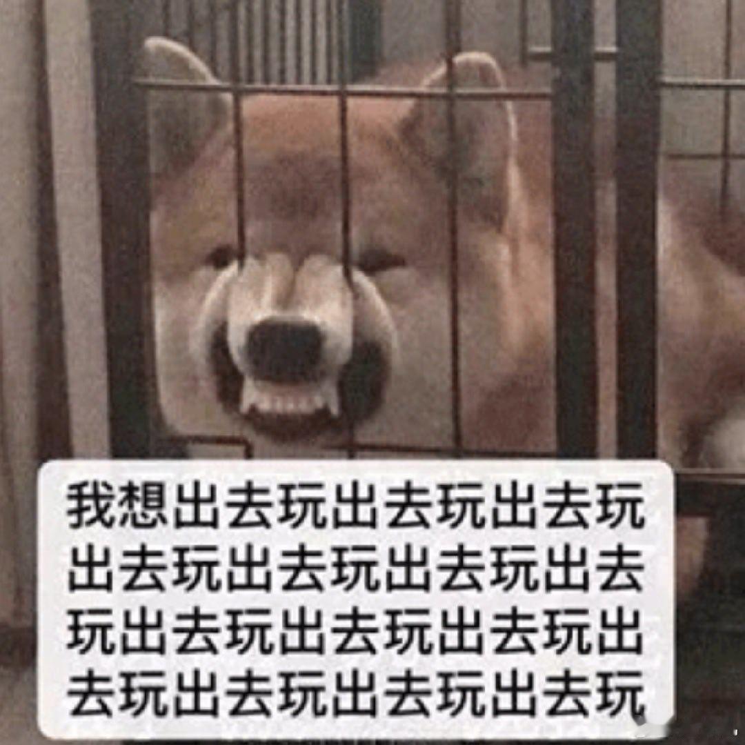 我的老母亲把我和我的老父亲扔下了，去东北潇洒半个月去了[苦涩]我啥时候才能退休，