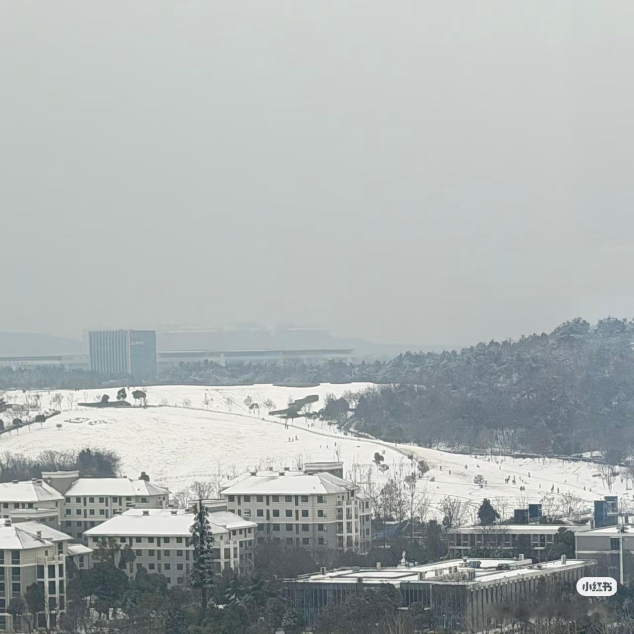 二妃山国际滑雪场开始了！

来源见水印

滑雪