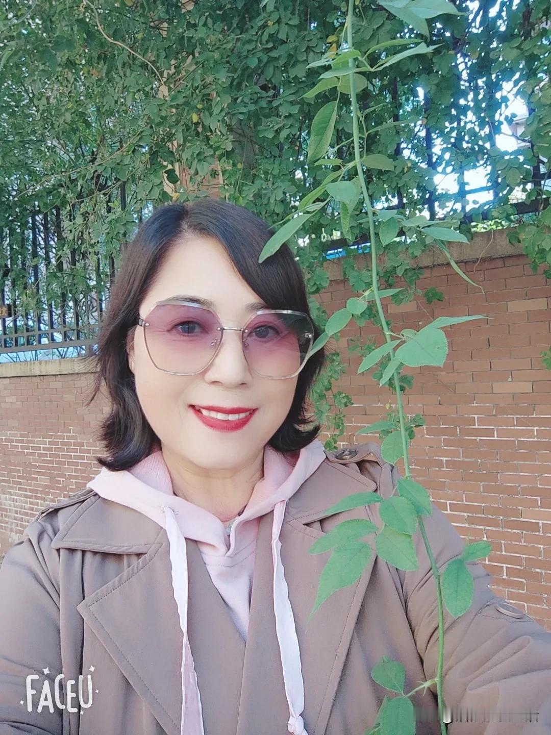 蔷薇，爬满小区院内的围墙，密密麻麻
在我眼里，一年四季，它都美不胜收

春天的蔷