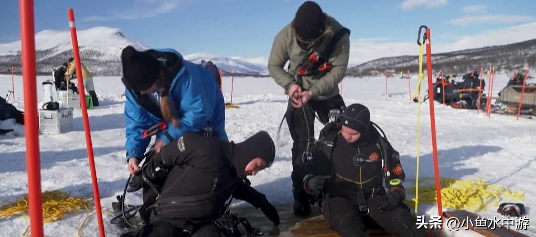 你能想象在厚达80厘米的冰层下潜水吗？这听起来像是一项极限运动，但在气候变化日益