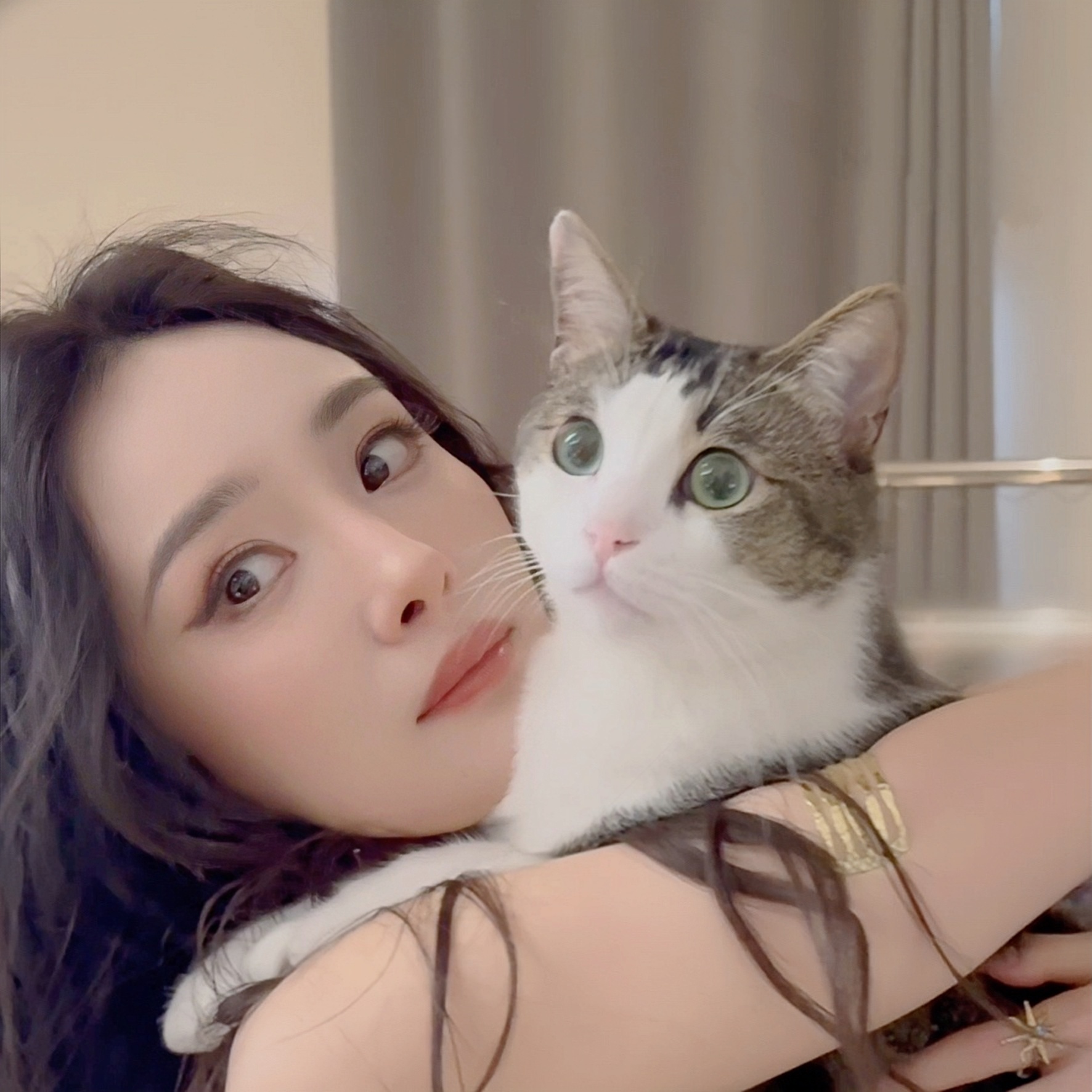 杨幂  头像*壁纸分享小猫咪能有什么坏心思呢？只是想粘着杨幂罢了！幂你的眼睛和巧