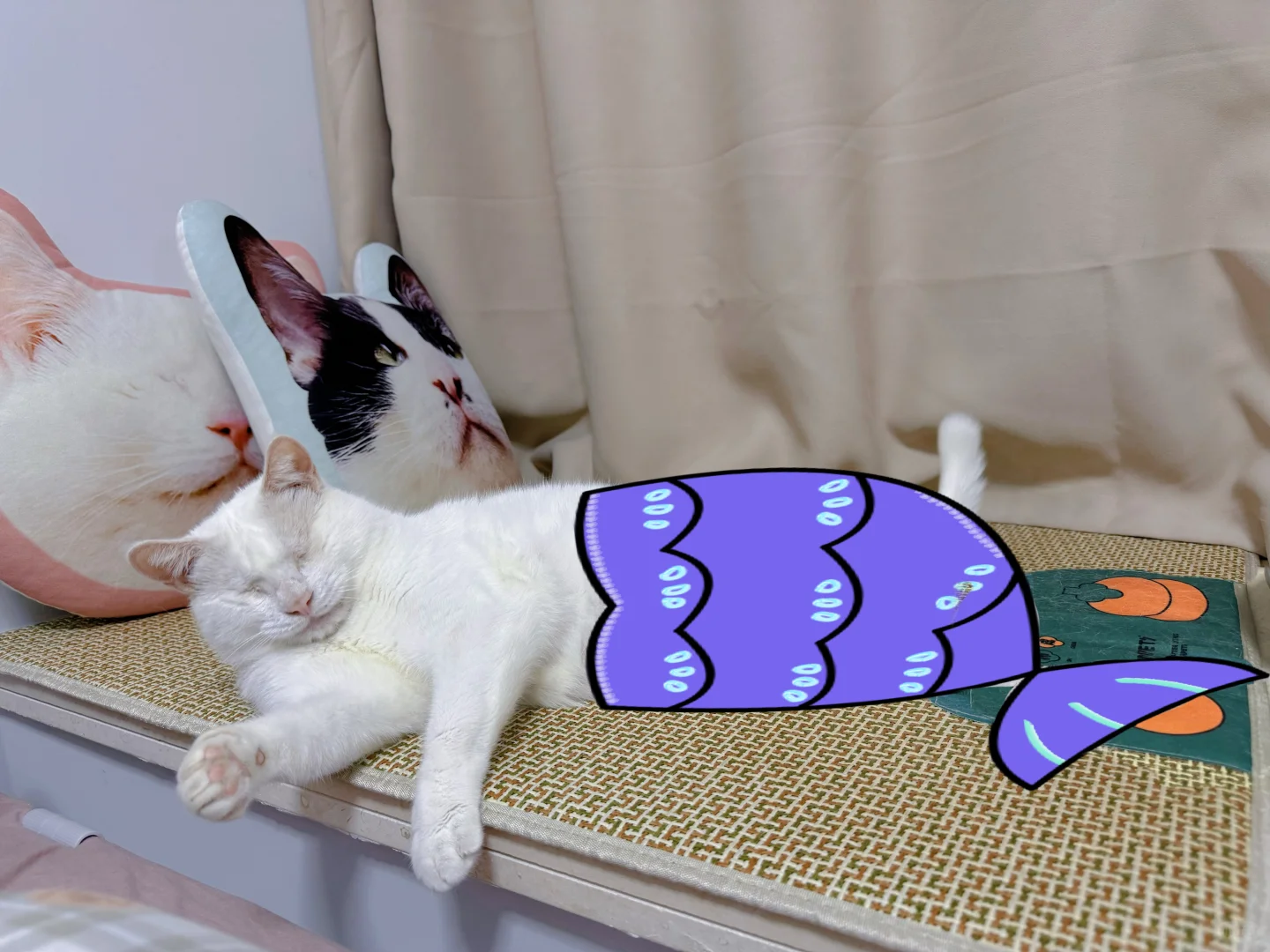 妈呀，小美人鱼搁浅了‼️