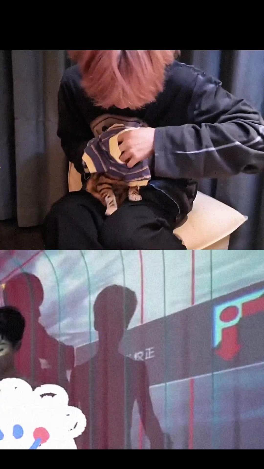 l p 小十一 大鱼