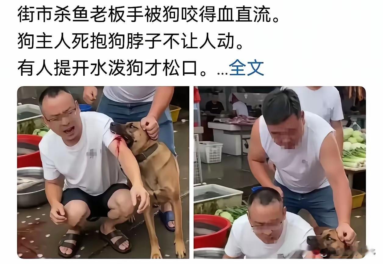 最近是不是有很多爱国自媒体作者被一只黄狗咬了？