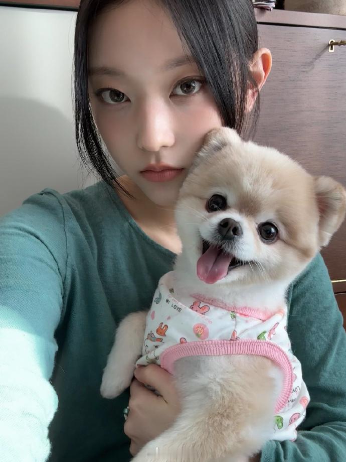 猫系🐈 & 犬系🐶 