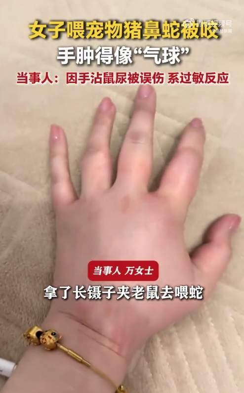 5月14日新湖南报道，江苏淮安万女士养的"网红宠物"猪鼻蛇，因三四周未进食陷入求