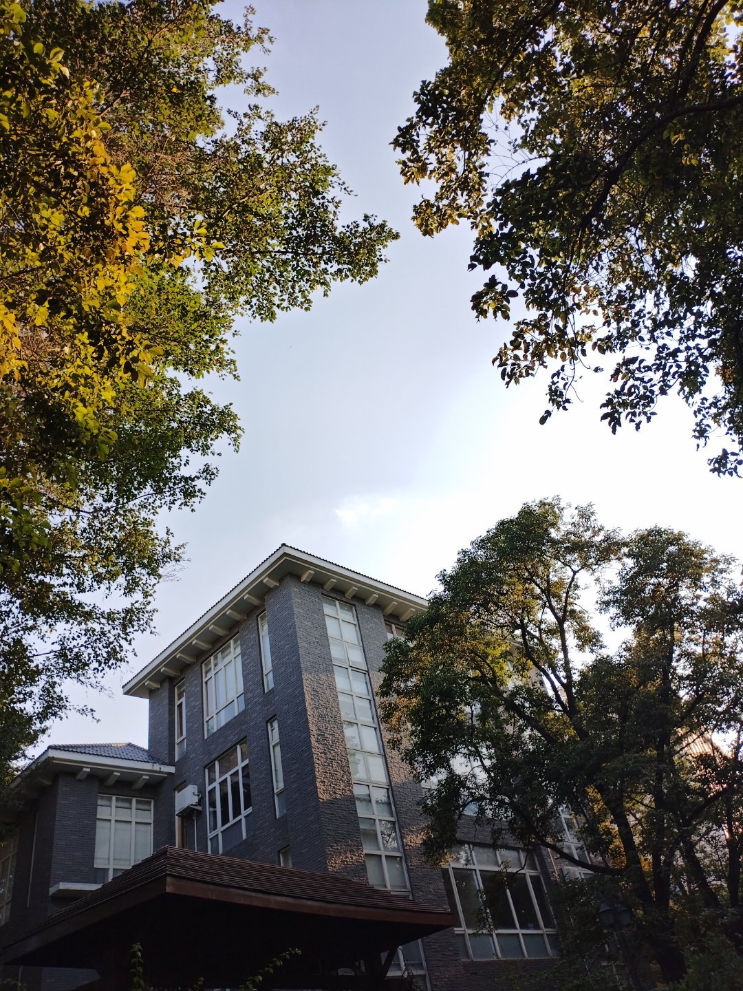 大城市是不是情绪价值不一定，都是高端写字楼里面的牛马，小区房里的韭菜是真的。顶级