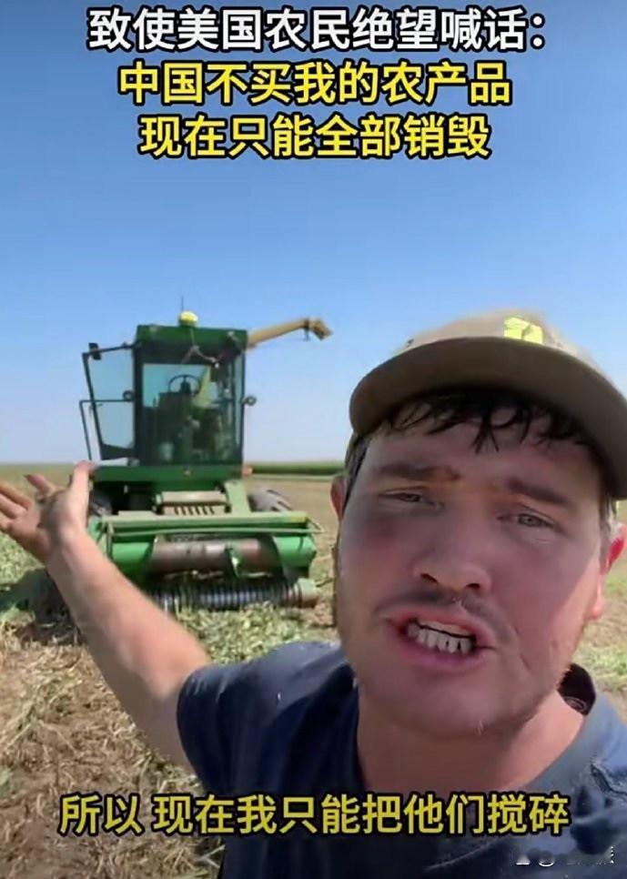 美国农民急哭了，没有中国买单农产品都卖不完了。
