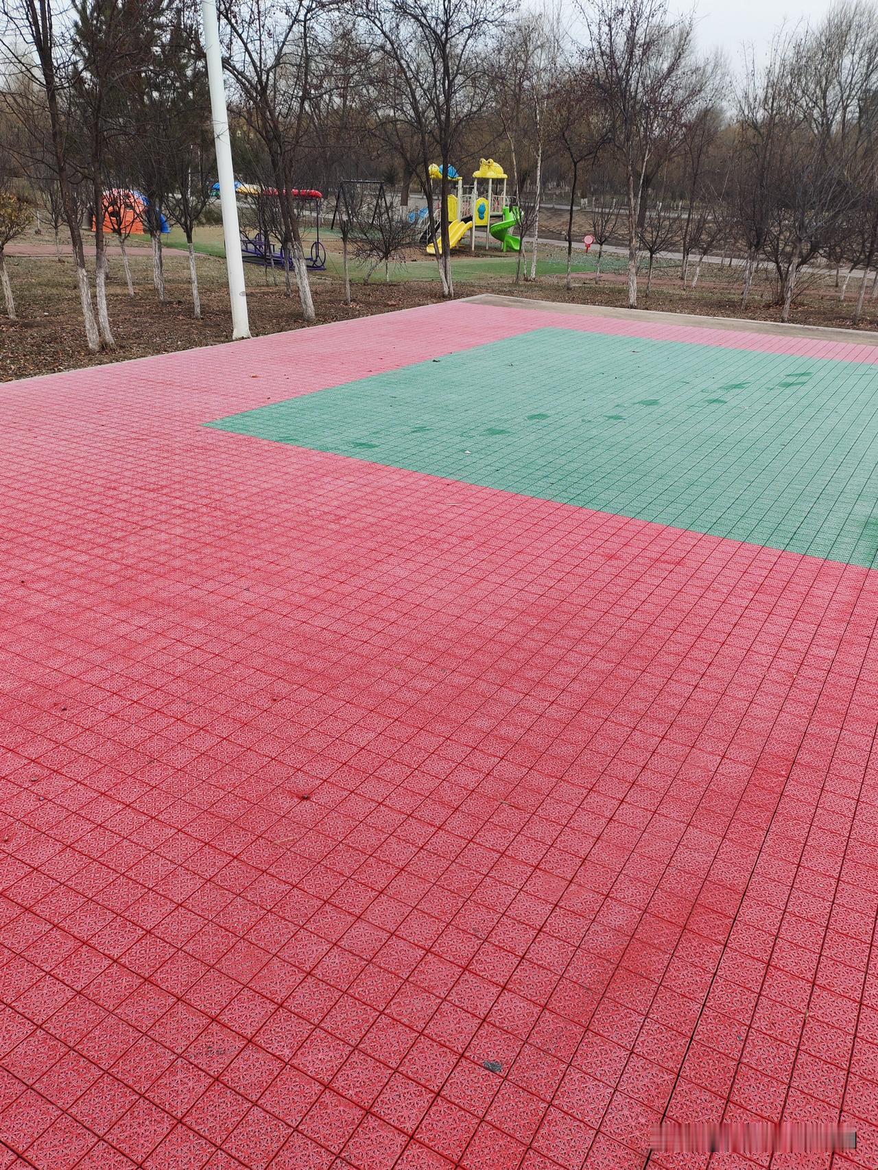 早餐八点去公园，发现篮球场一层霜，就连玻璃篮球板都是一层霜，不透明了。小河已经结