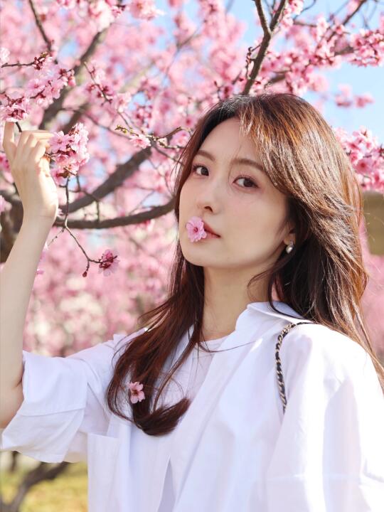 🌸樱花树下