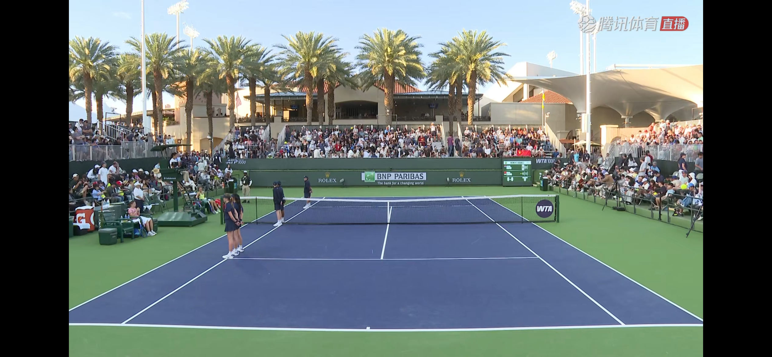 郑钦文vs鲁季奇网球talking大会 加油，小郑！ 