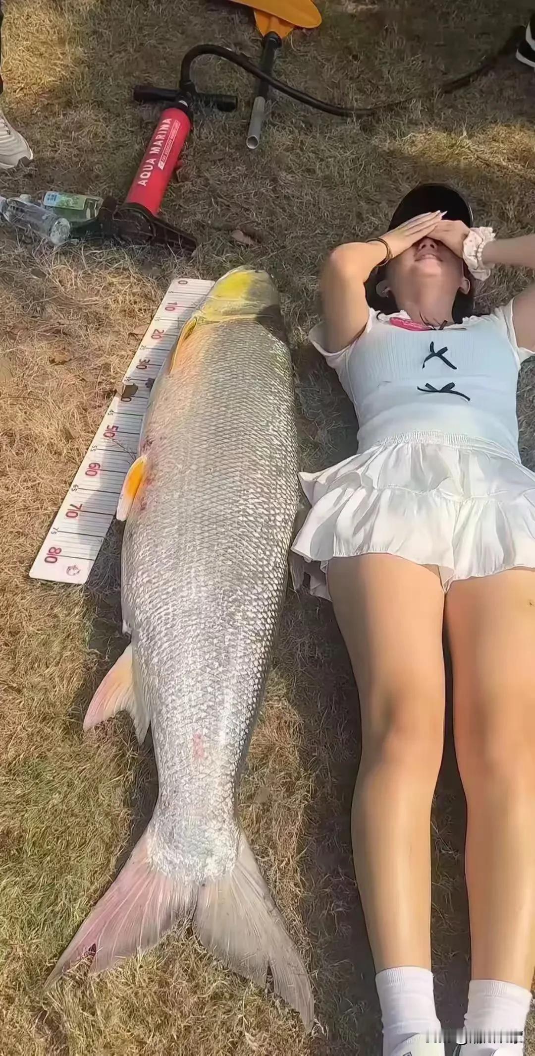 #随手拍张照#这种鱼叫什么名字？