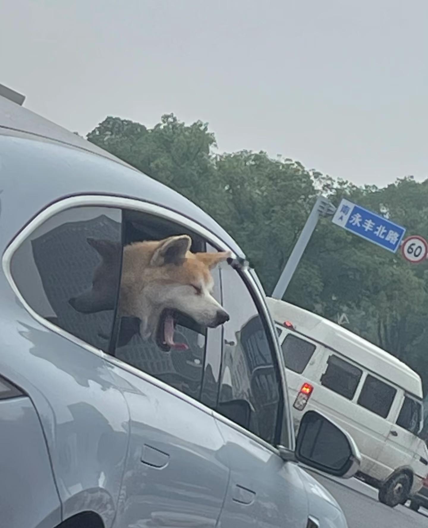 没啥好说的，用行动表明一切！目前出发公司的路上，趁着元旦没行情好好的总结和规划一