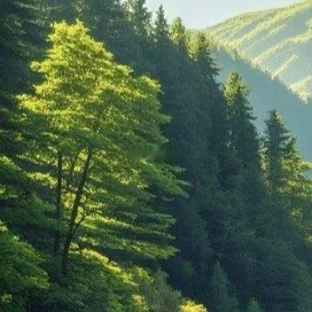 斗志和干劲很重要，但更重要的，是不断坚持的努力。无论你已经工作还是仍在校园拼搏，