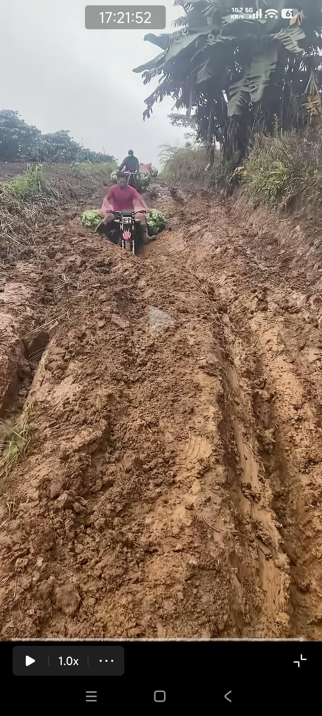 菲律宾农民在崎岖泥泞的山路里用摩托车运送香蕉！

菲律宾人也知道想要致富的先修路
