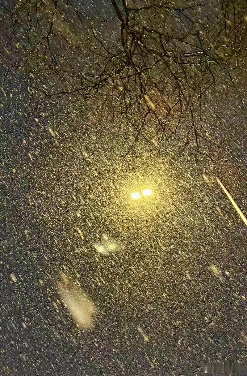 北京下雪 “下雪了，每一片雪花都像是天空的信使，传递着冬天的讯息。” 