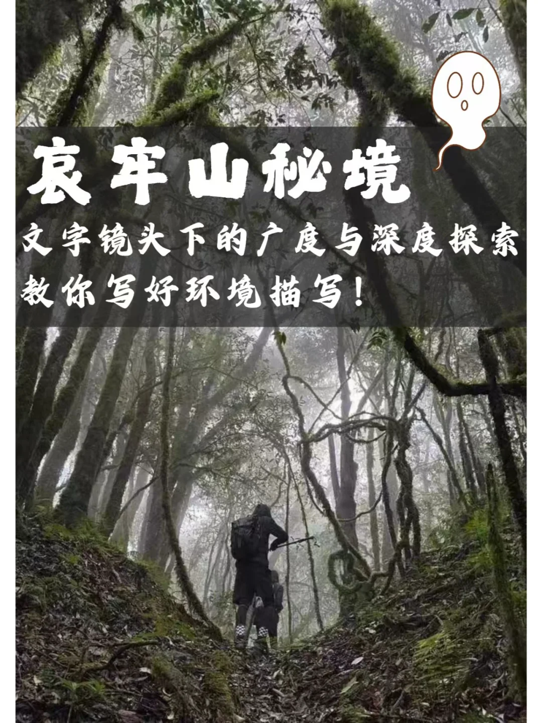 用文字捕捉哀牢山：环境描写的深度与广度