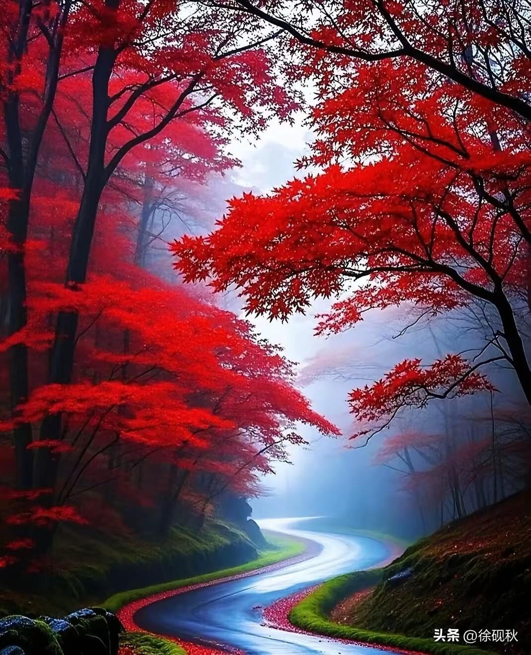 上联：秋荷渐败池塘冷，诚邀下联层林尽染百舸流