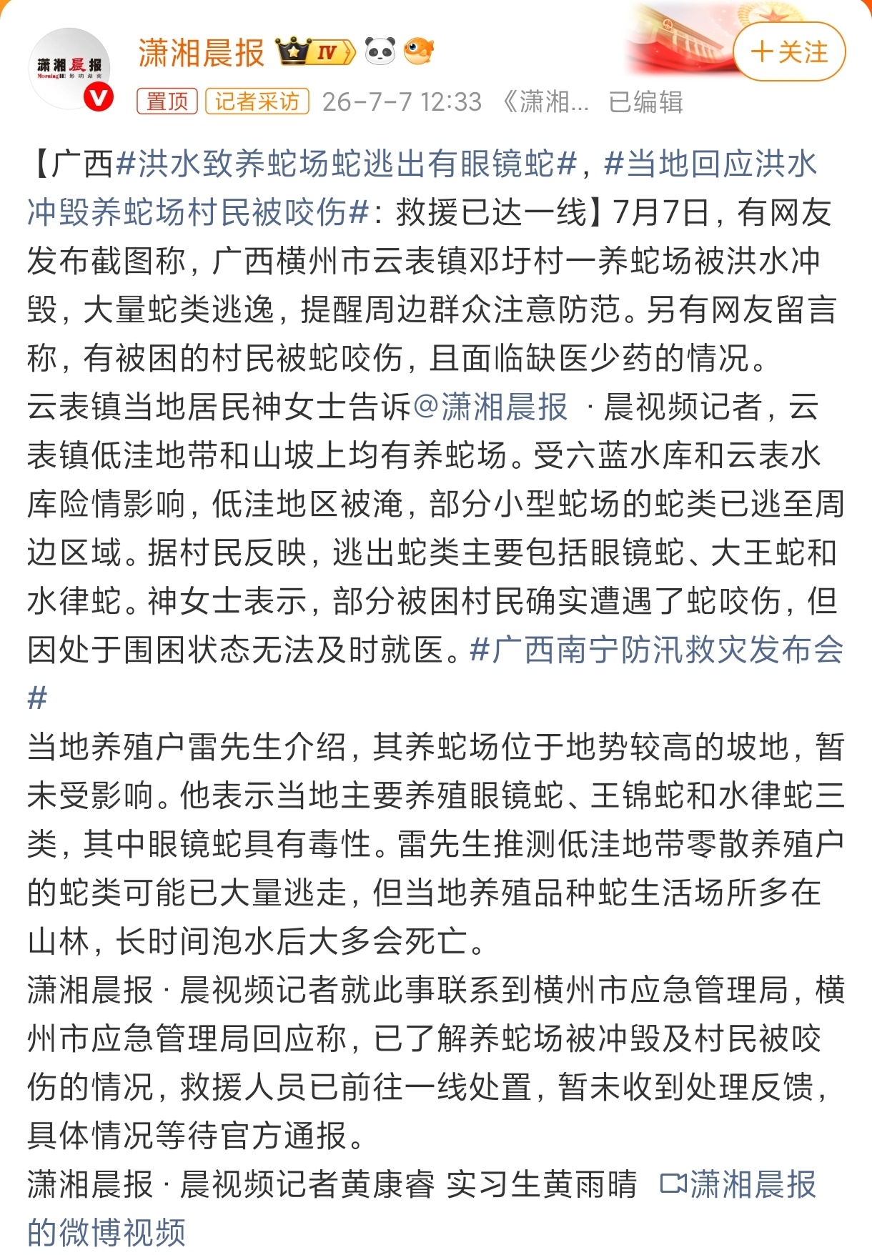 看文字我已要疯了