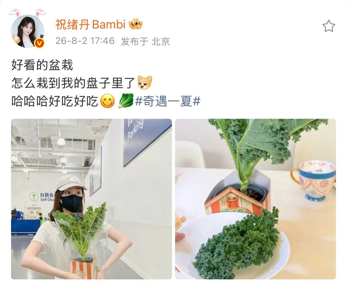 祝绪丹的盆栽是日抛型的祝绪丹盆栽还没养着就吃了 谁能想到盆栽还有这种打开方式，祝