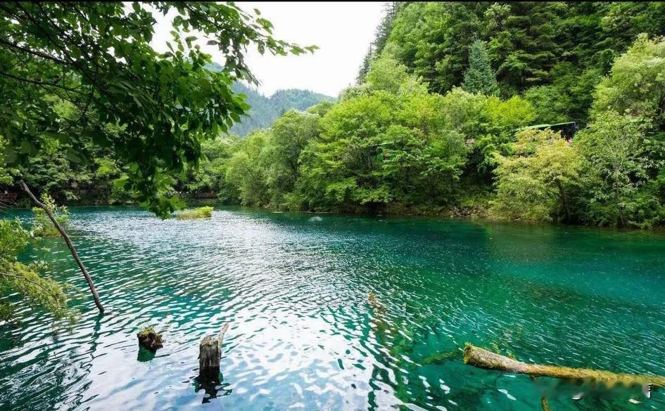 山清水秀，是旅游好去处
