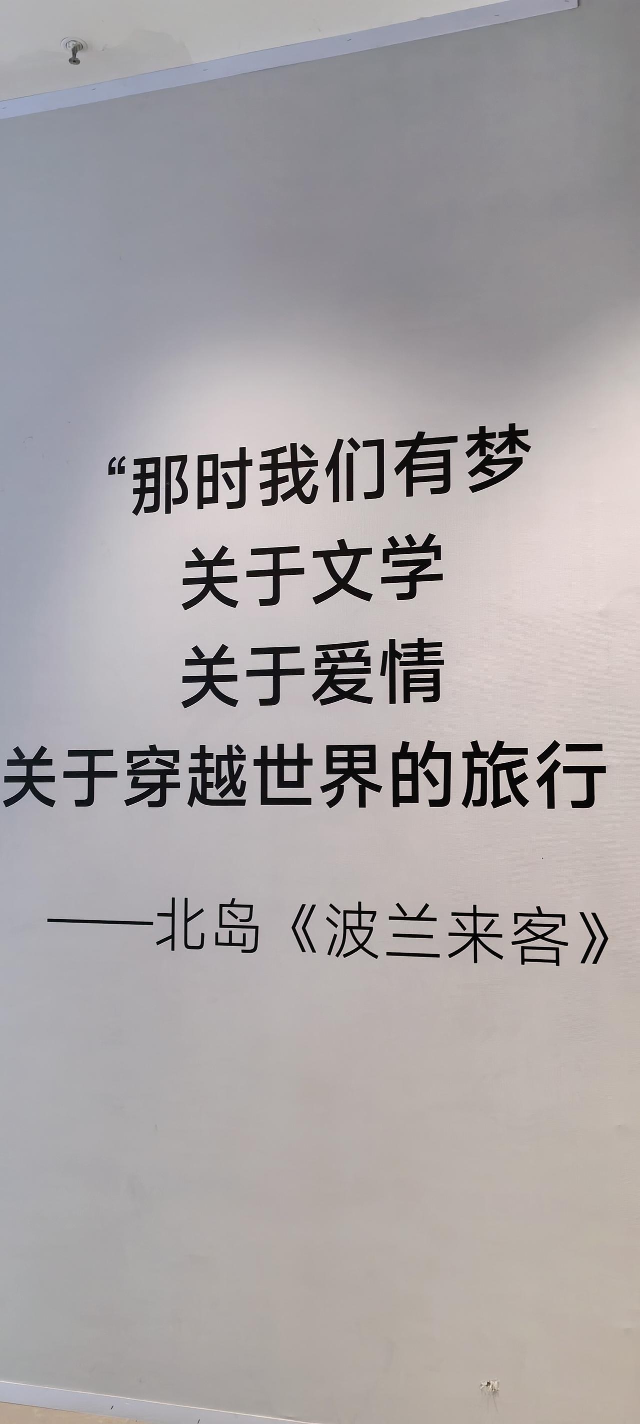 土生土长的孩子

村口那棵老柿子树还在，老家院子的枇杷可结出的果，家人再也没人摘